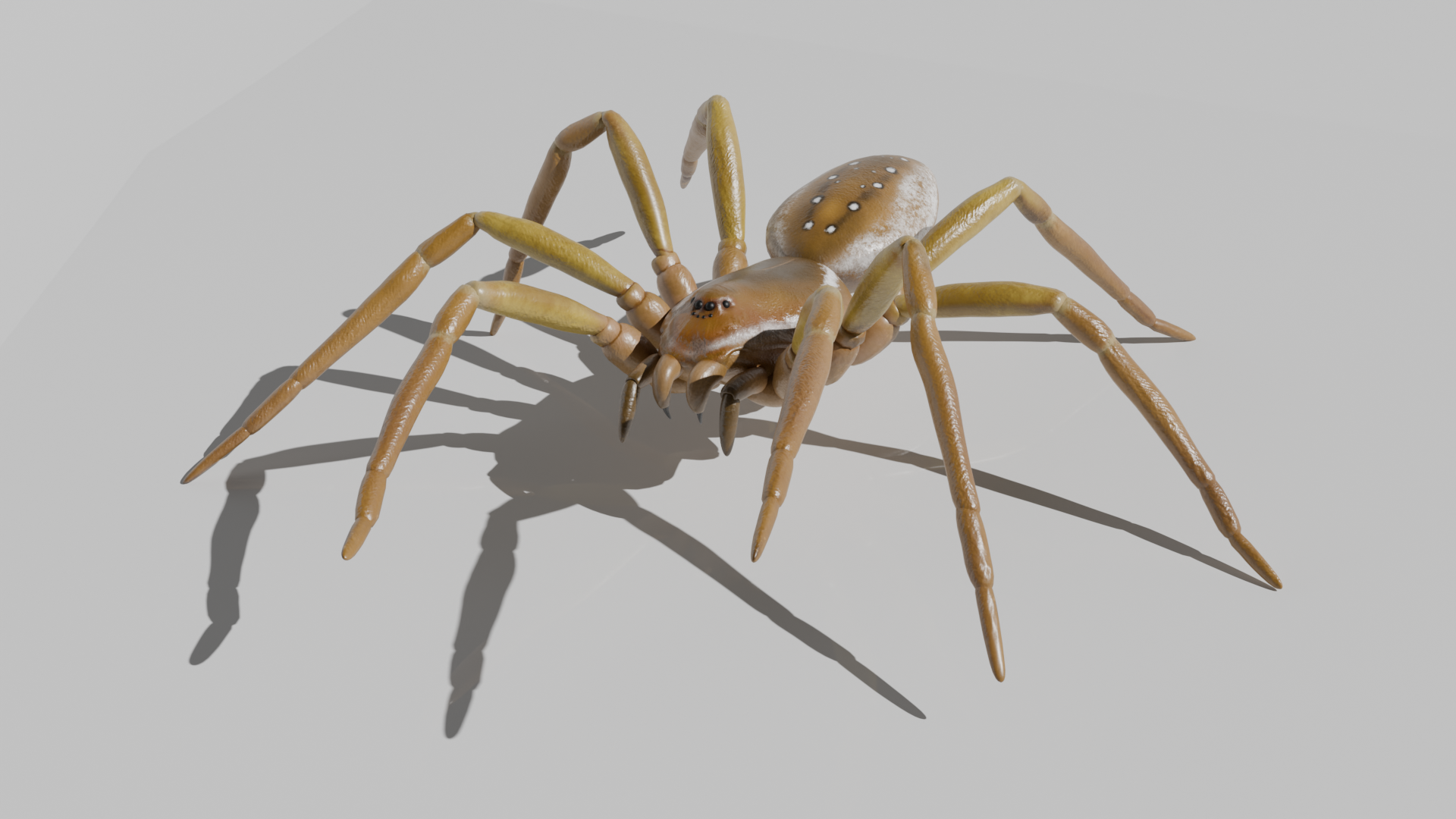 Historical Sword Combat System