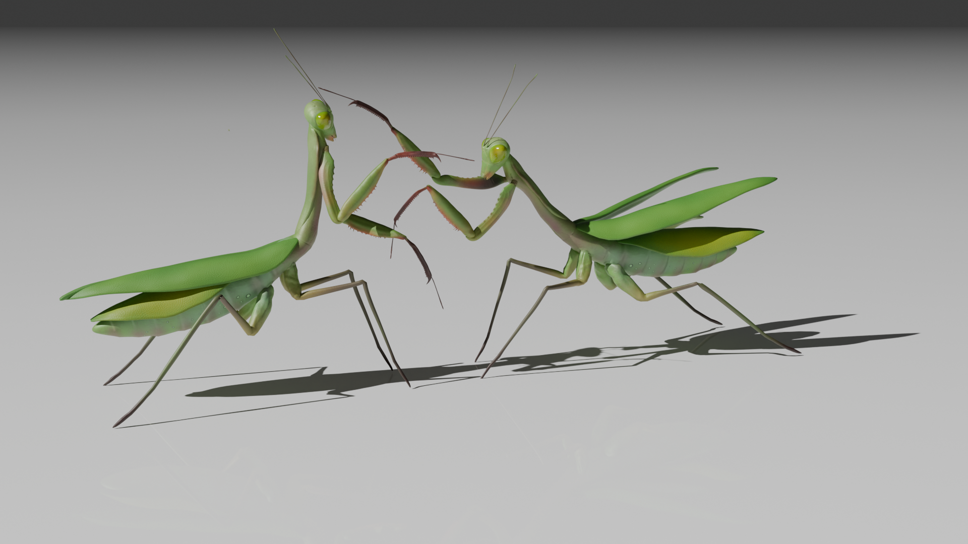 Historical Sword Combat System