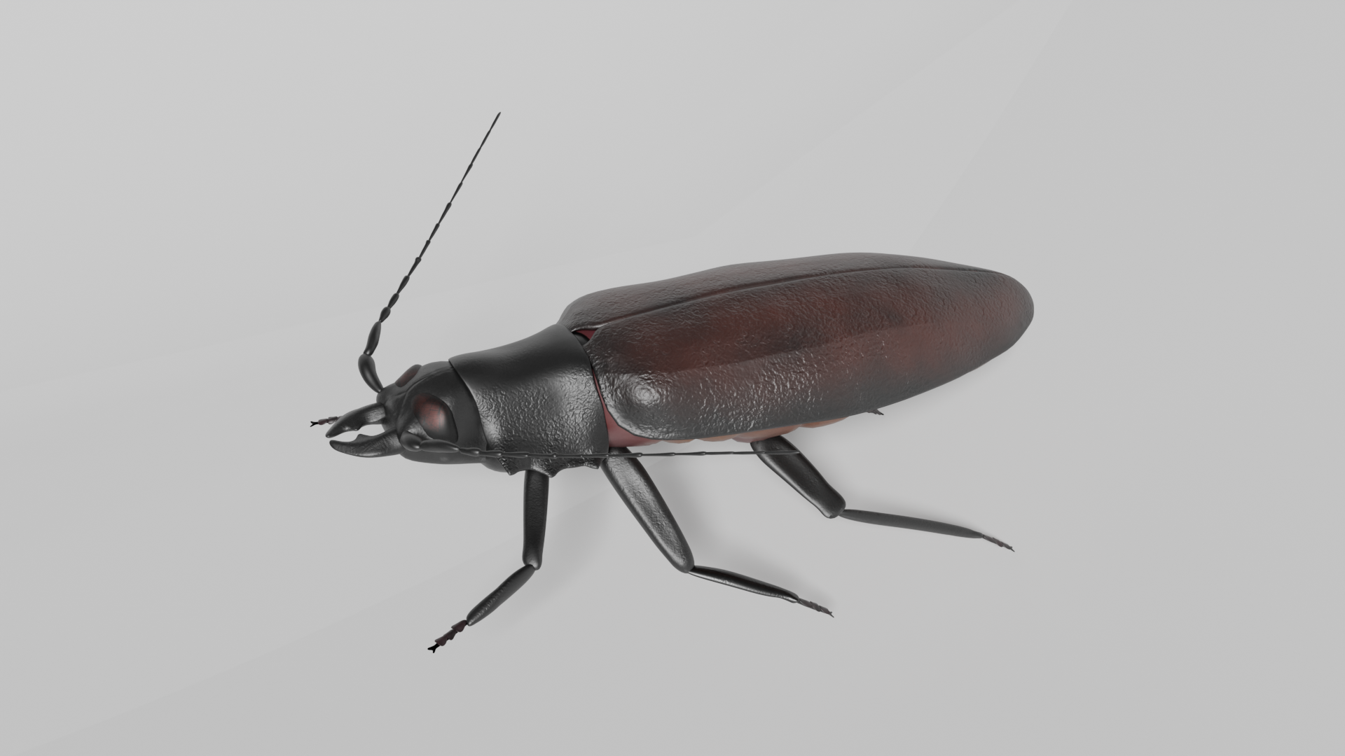 Dinosaur Riding System