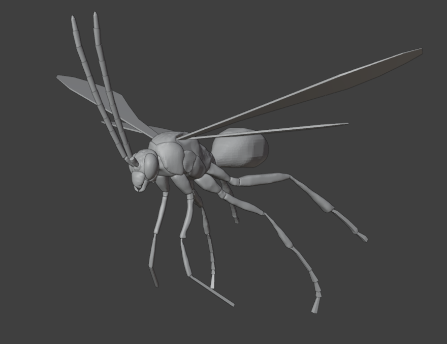 Giant Rainforest Mantis